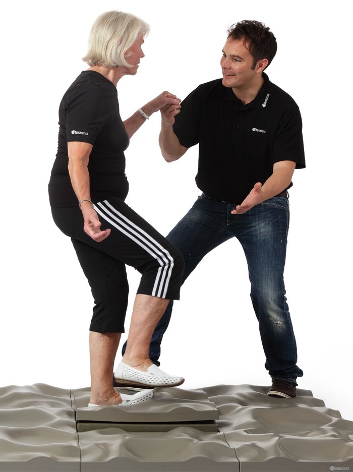 Mata Terrasensa® Artzt Vitality (6 segmentów)