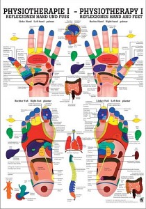 Tablica medyczna - Refleksoterapia PHYS I
