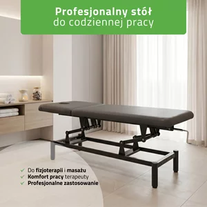 Stół do masażu i rehabilitacji VIGO 2 (szary)
